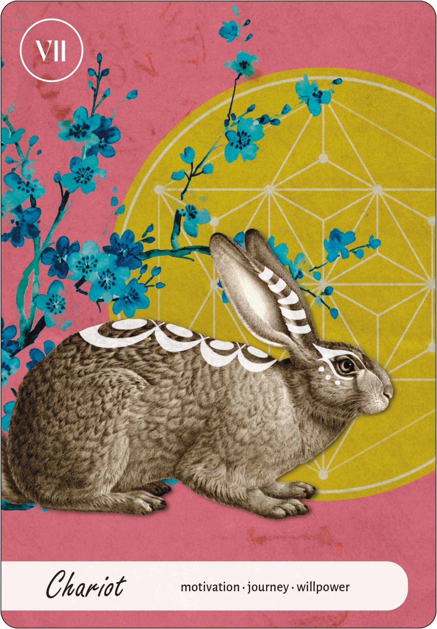 Wise Earth Medicine Tarot: 78 Cards & 96 Page Guidebook - Spiral Circle