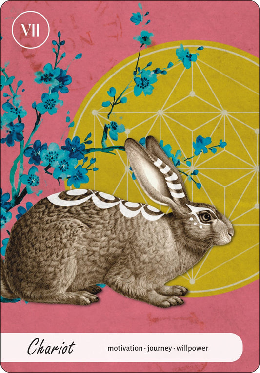 Wise Earth Medicine Tarot: 78 Cards & 96 Page Guidebook - Spiral Circle