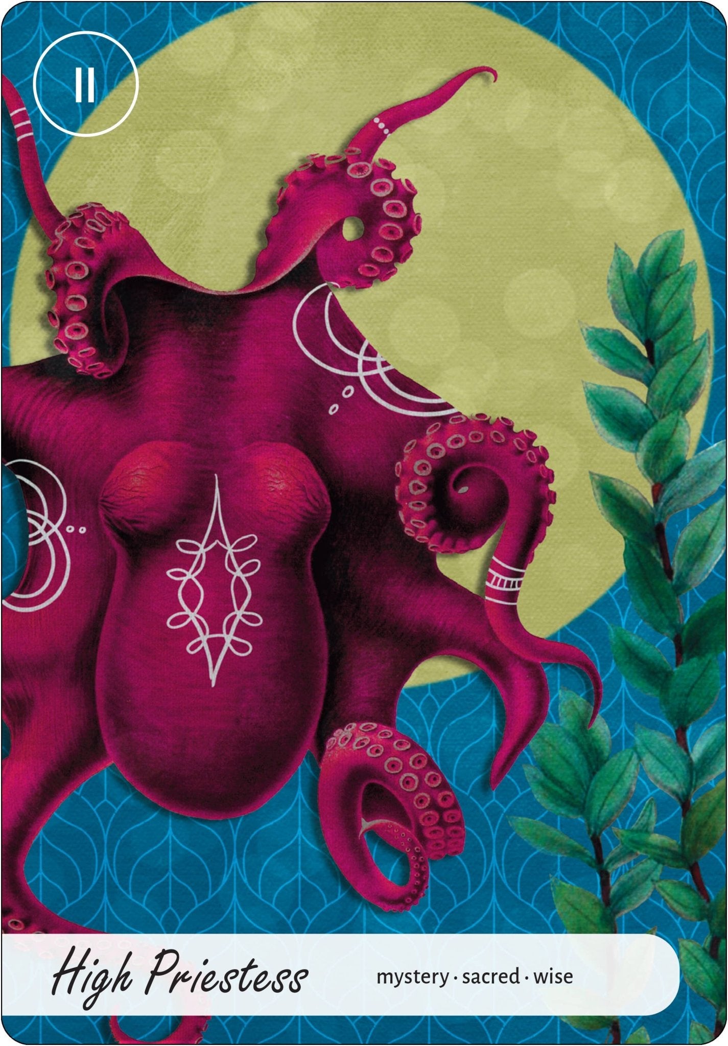 Wise Earth Medicine Tarot: 78 Cards & 96 Page Guidebook - Spiral Circle