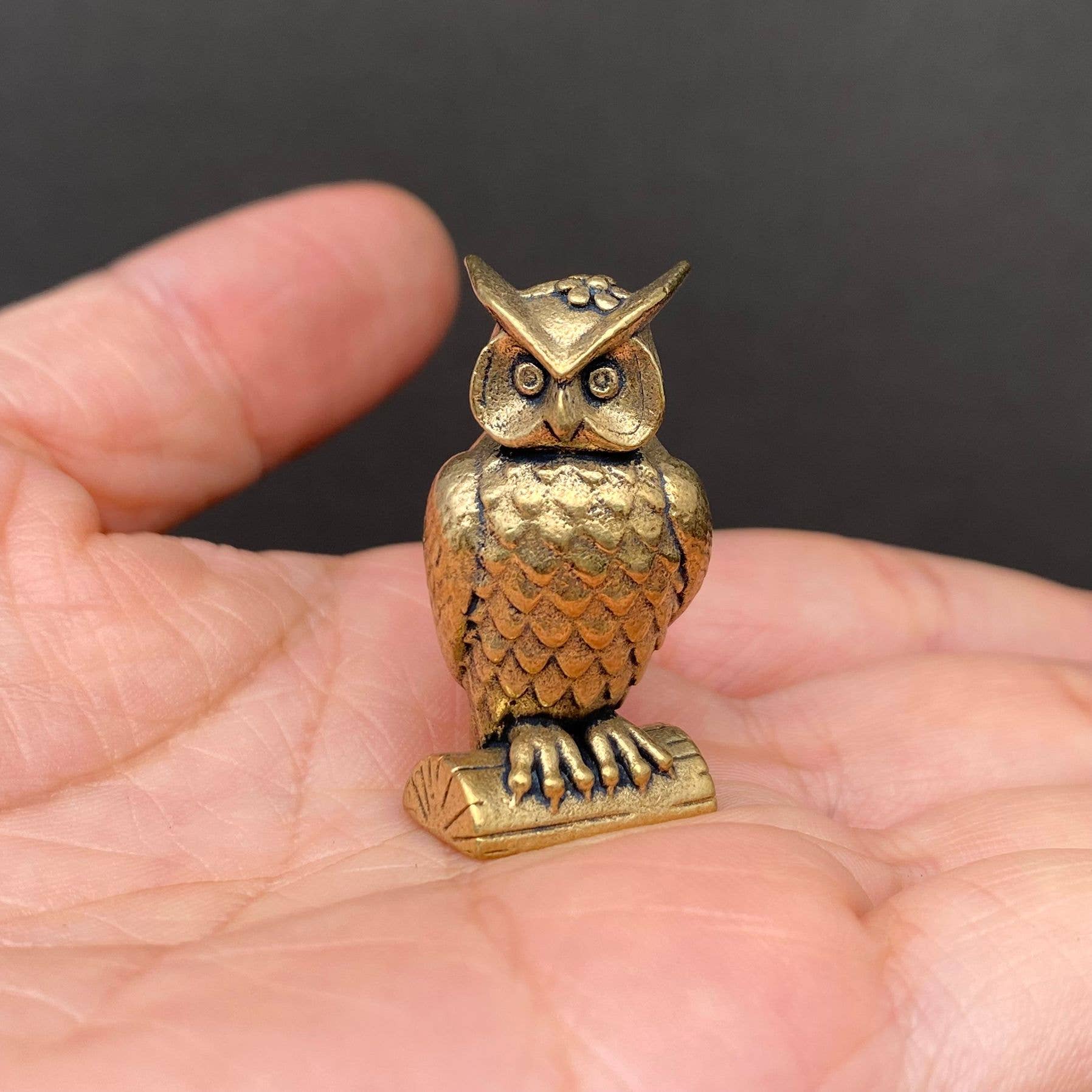 Wise Owl | Brass Figurine - Spiral Circle