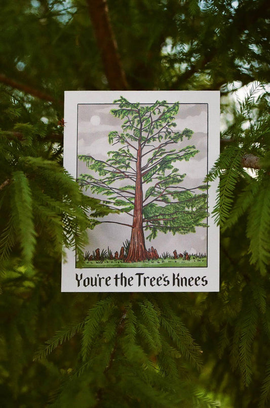 You're The Tree's Knees Card - Spiral Circle
