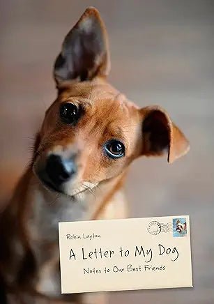 A Letter to my Dog - Spiral Circle