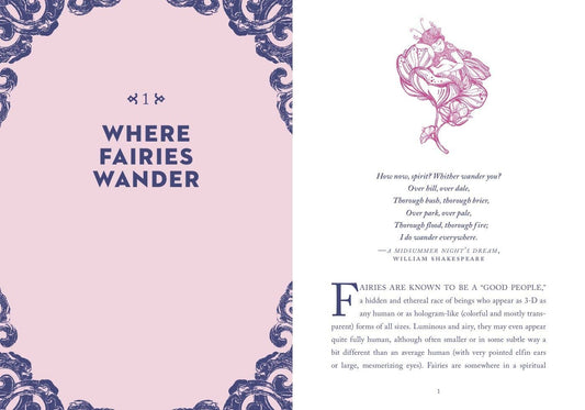 A Little Bit of Fairies by Elaine Clayton - Spiral Circle