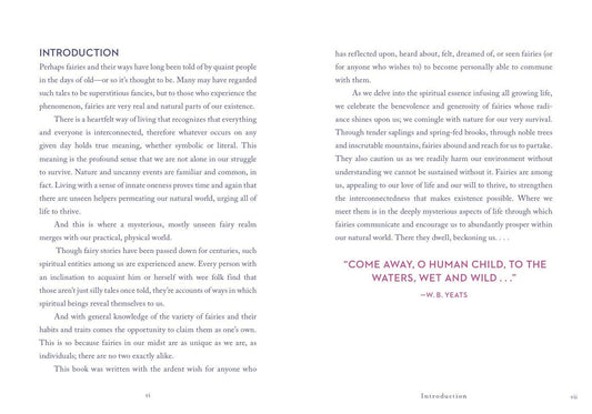 A Little Bit of Fairies by Elaine Clayton - Spiral Circle