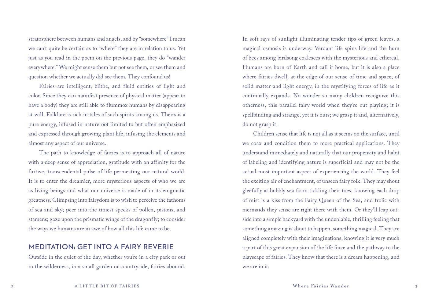 A Little Bit of Fairies by Elaine Clayton - Spiral Circle