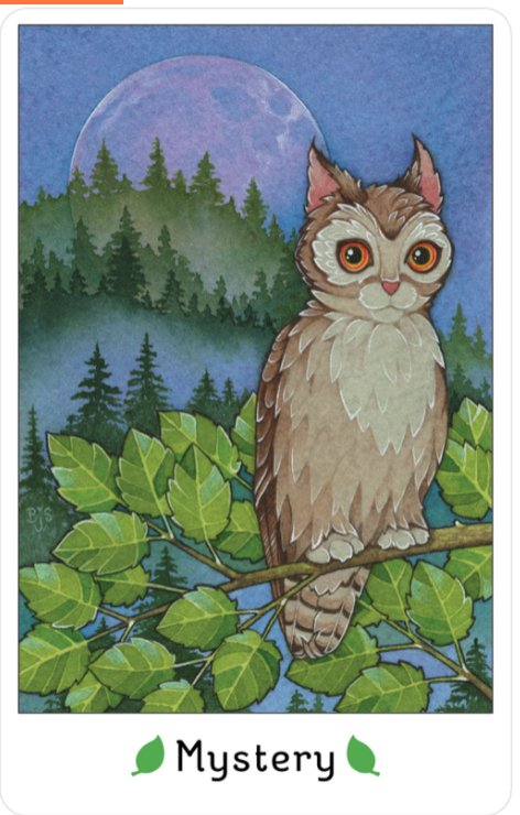 Affirmations of the Fairy Cat | Book and Deck Set - Spiral Circle