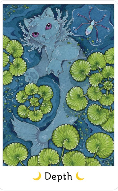 Affirmations of the Fairy Cat | Book and Deck Set - Spiral Circle