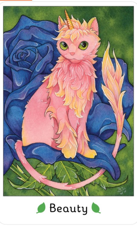 Affirmations of the Fairy Cat | Book and Deck Set - Spiral Circle