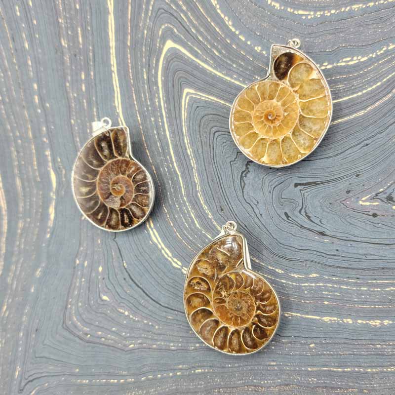 Ammonite Slices | Pendant - Spiral Circle