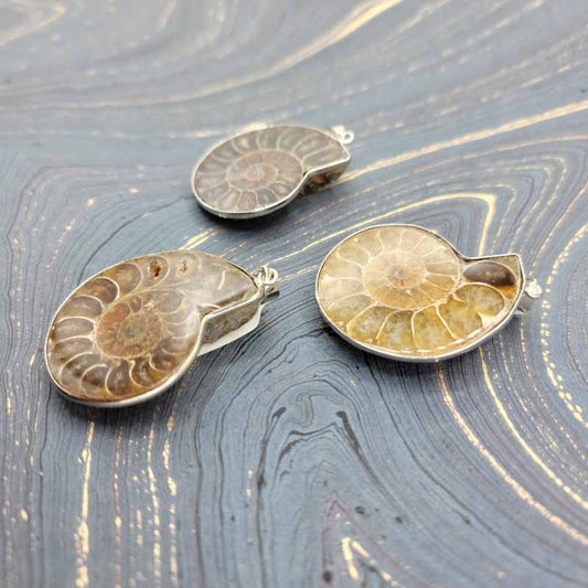 Ammonite Slices | Pendant - Spiral Circle
