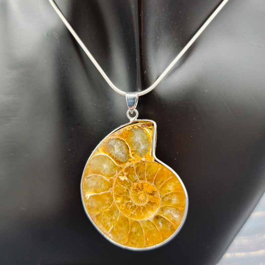 Ammonite Slices | Pendant - Spiral Circle