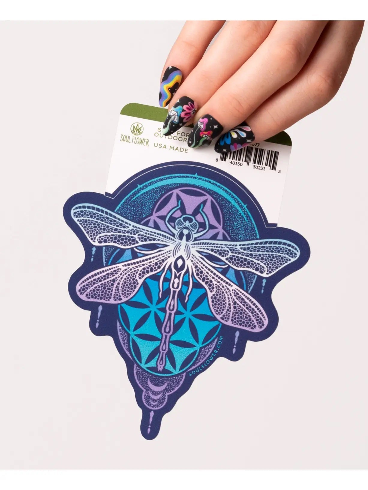 Animal Sticker Pack | Assorted - Spiral Circle