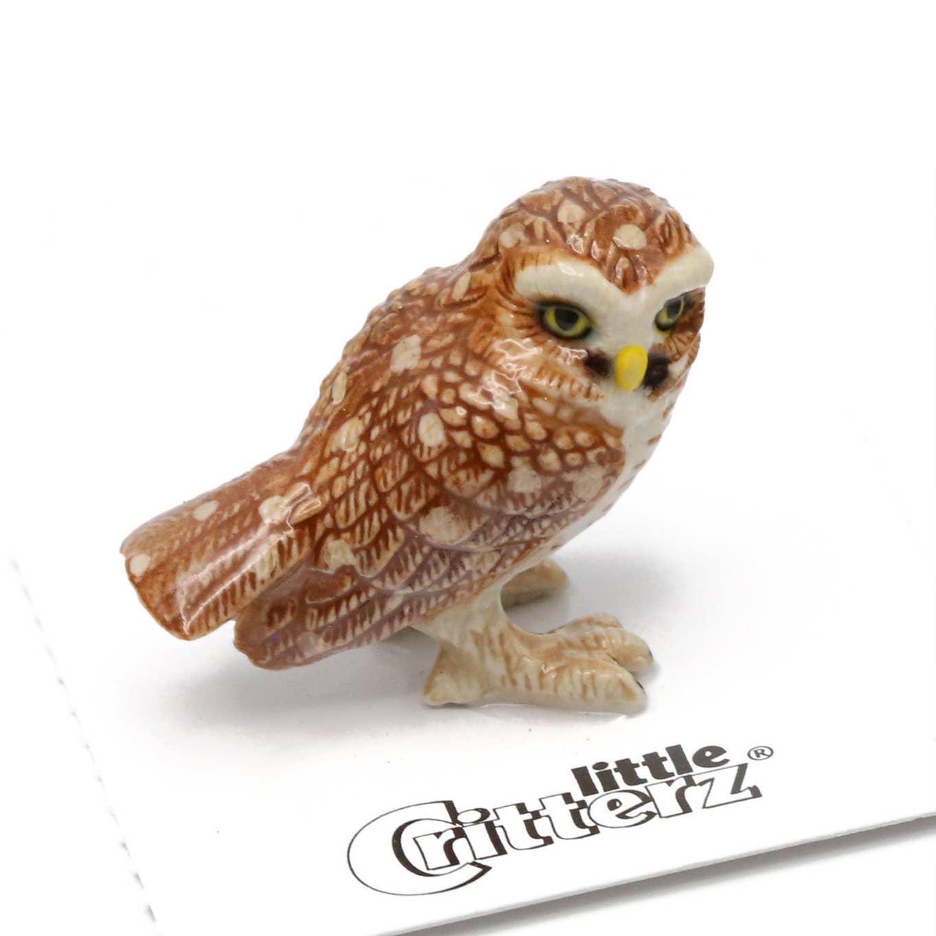 Athene Burrowing Owl Porcelain Miniature - Spiral Circle