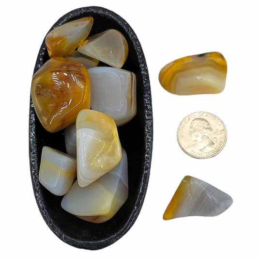 Banded Agate | Tumbled - Spiral Circle