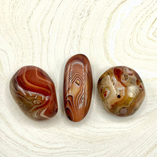 Banded Carnelian | Large - Spiral Circle