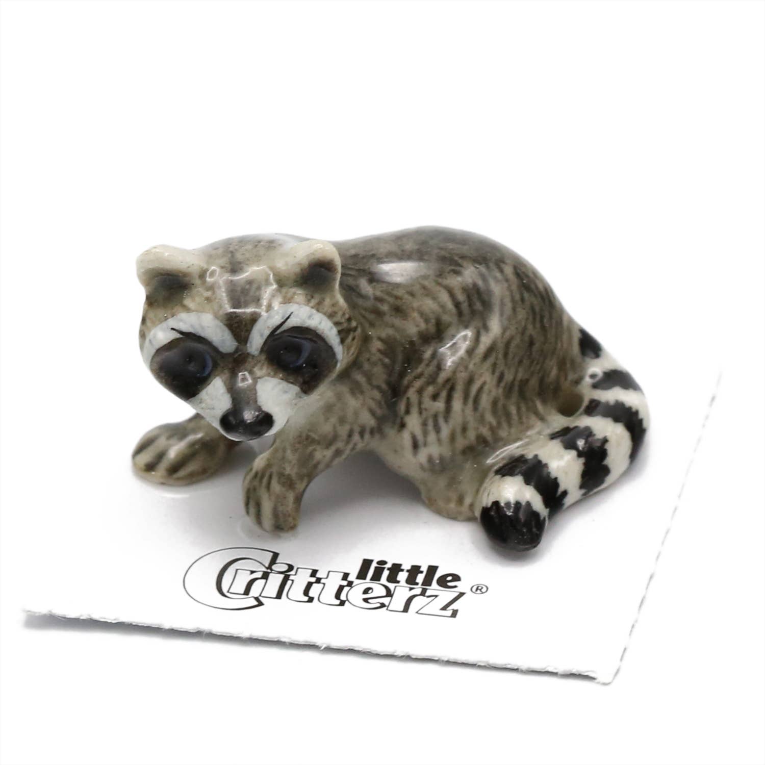 Bandit Raccoon | Porcelain Miniature - Spiral Circle