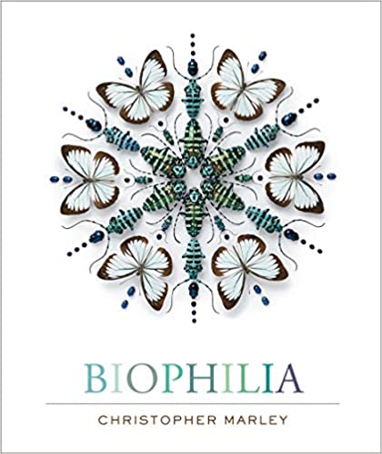 Biophilia - Spiral Circle