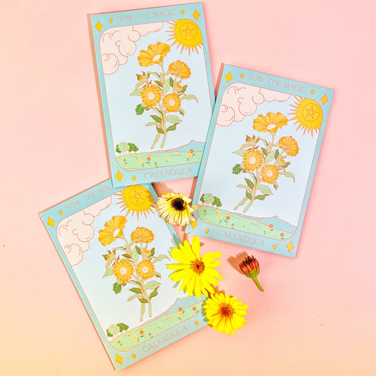 Calendula Tarot Garden + Gift Seed Packet - Spiral Circle