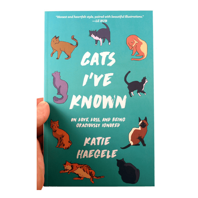 Cats I've Known | On Love, Loss, and Being Graciously Ignored - Spiral Circle
