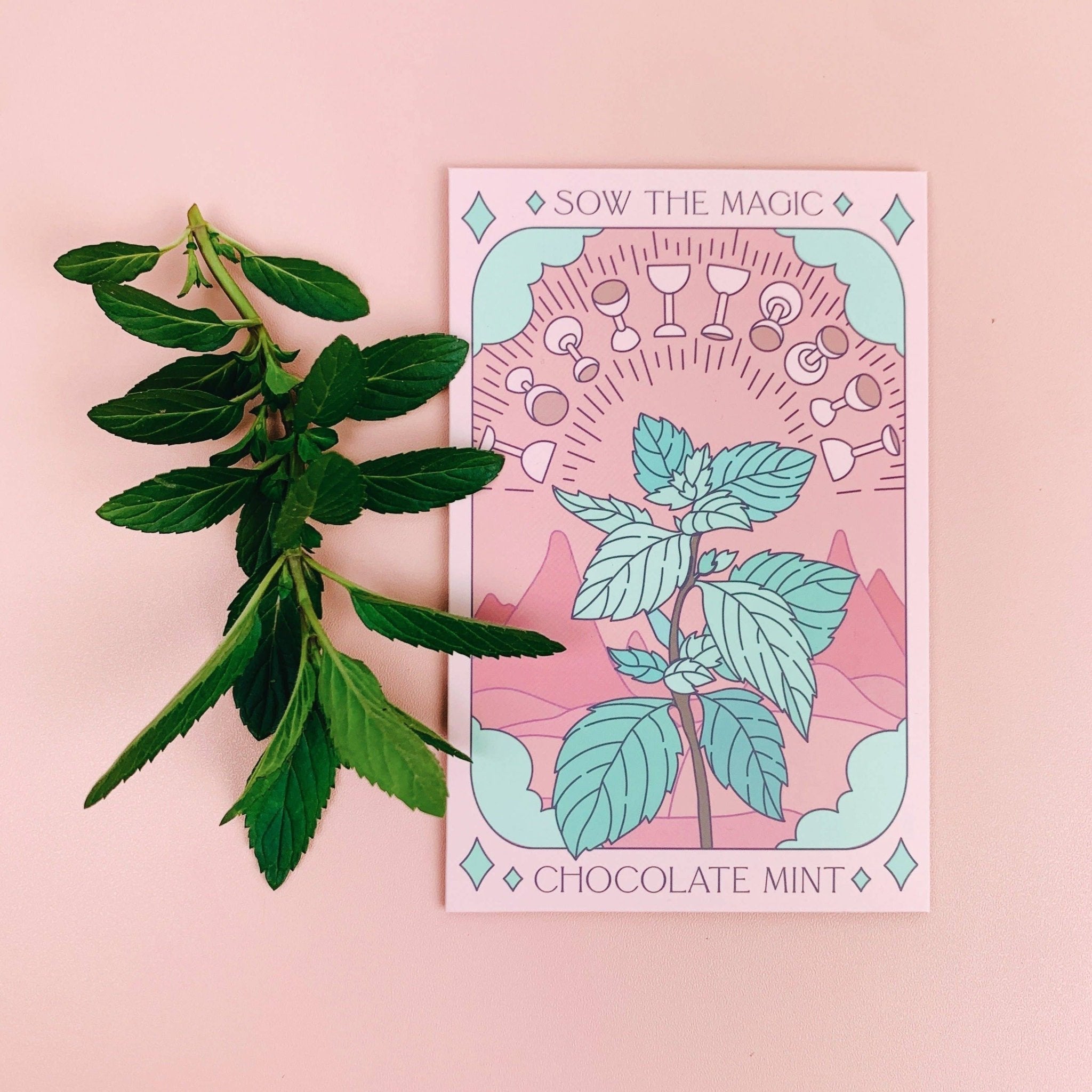 Chocolate Mint | Tarot Garden and Gift Seed Packet - Spiral Circle