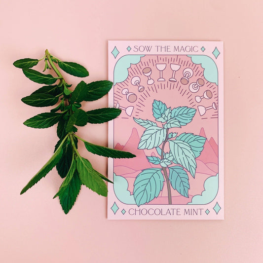 Chocolate Mint | Tarot Garden and Gift Seed Packet - Spiral Circle