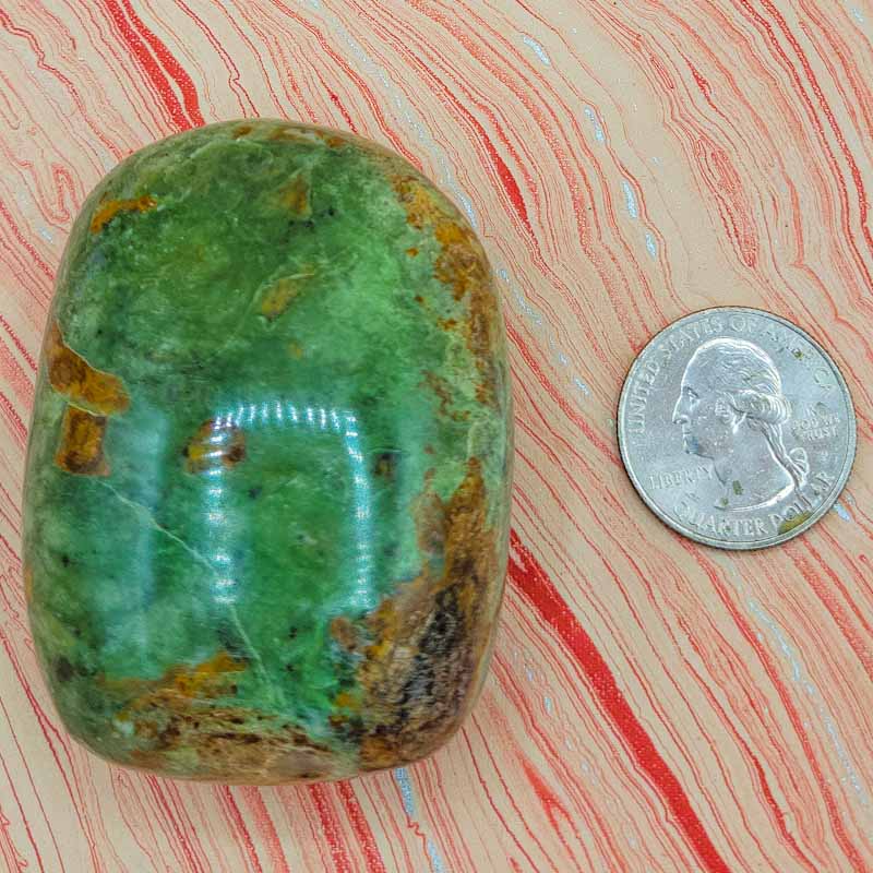 Chrysoprase | Palm Stone - Spiral Circle