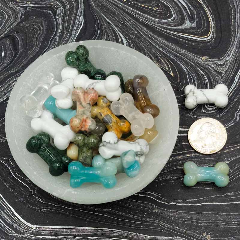 Crystal Bones | Assorted - Spiral Circle