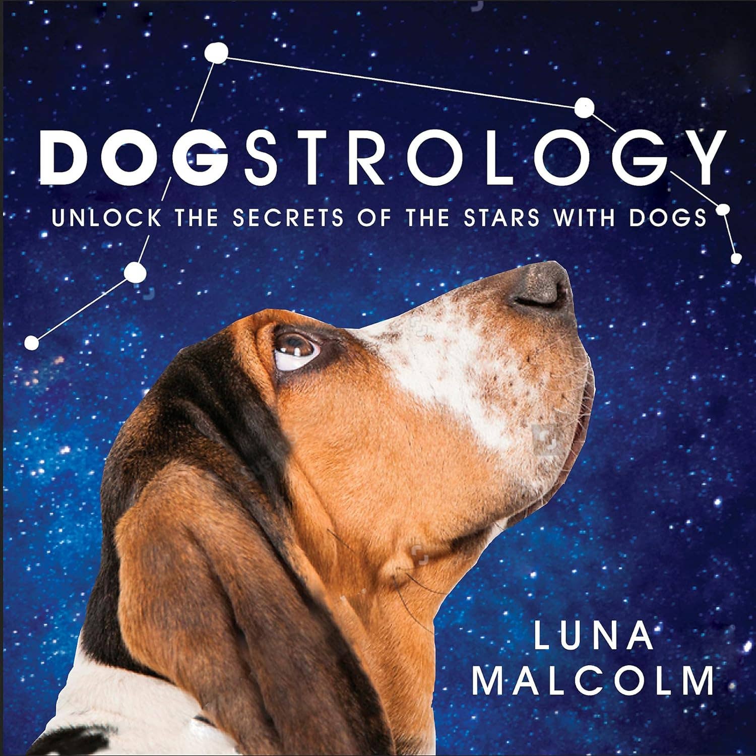 Dogstrology: Unlock The Secrets Of The Stars With Dogs - Spiral Circle