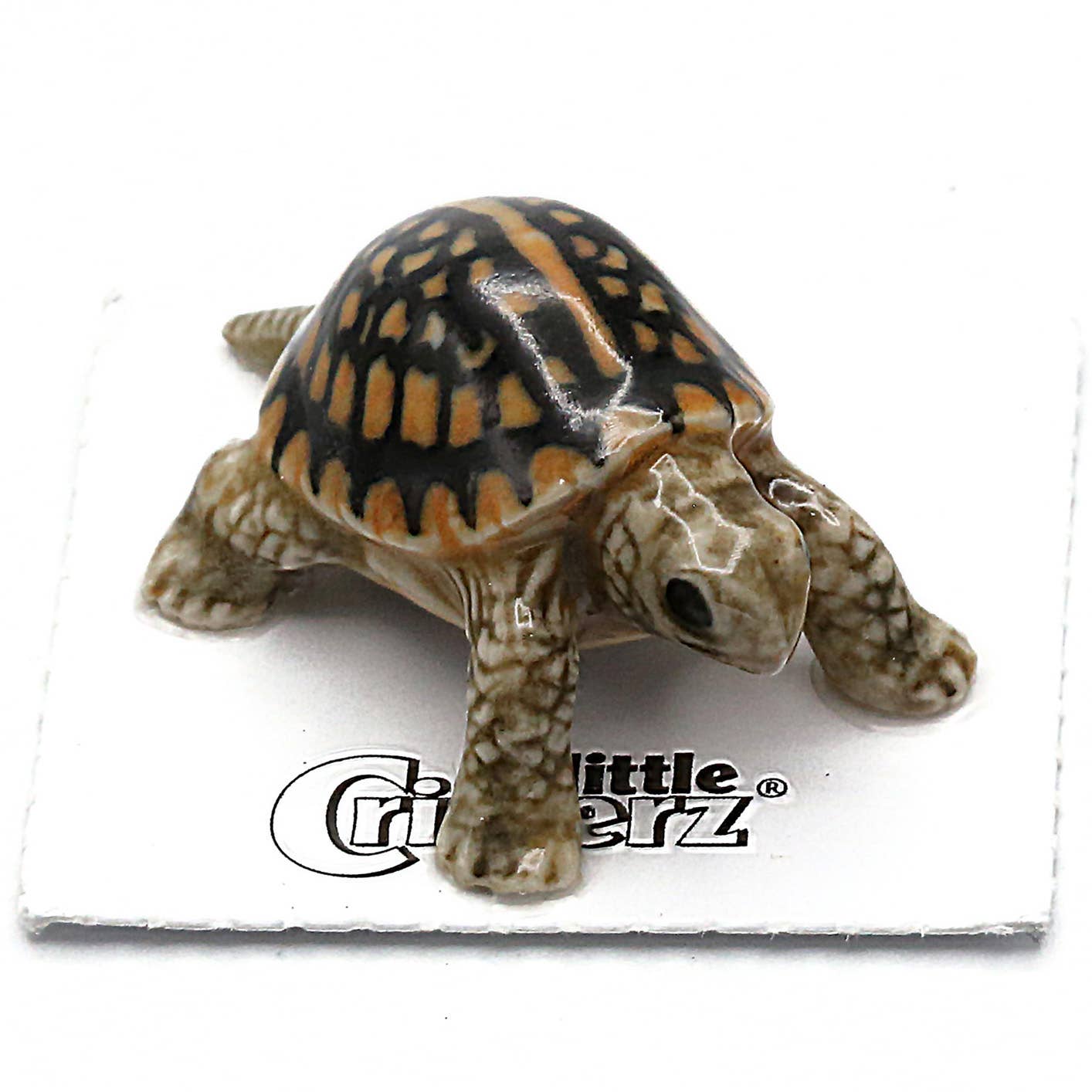 Dom Box Turtle Porcelain Miniature - Spiral Circle