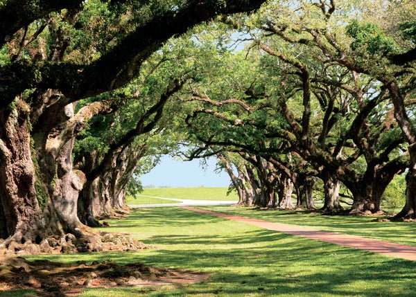 Everyday Greeting Card - Spiral Circle
