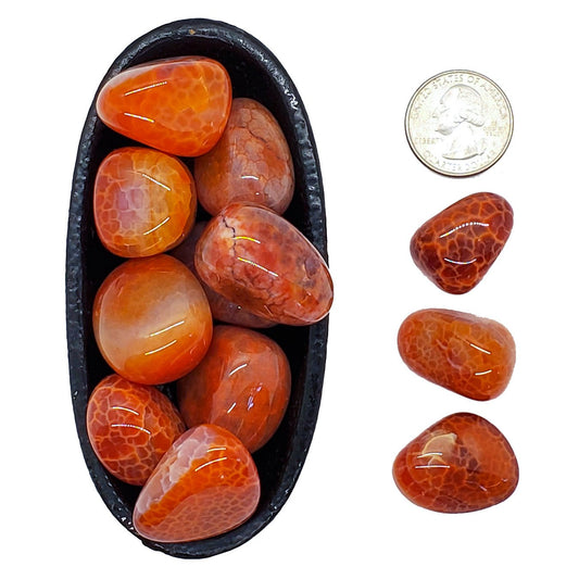 Fire Agate | Tumbled | Vitality, Creativity - Spiral Circle