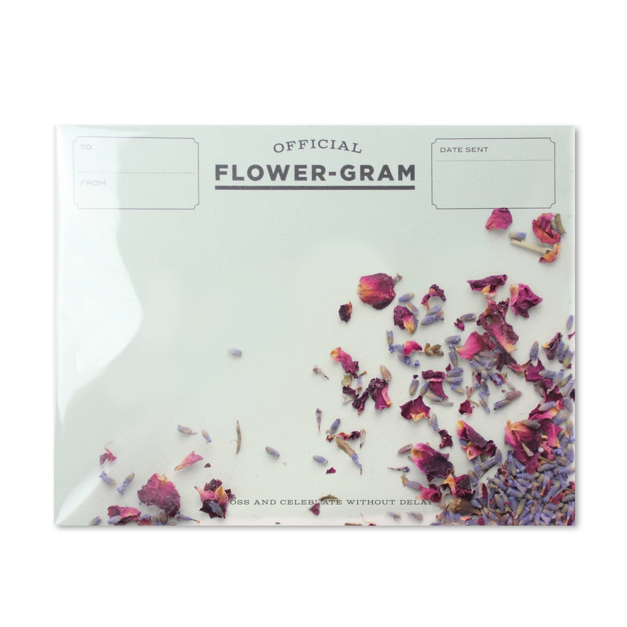 Flowergram - Lavender + Rose - Spiral Circle