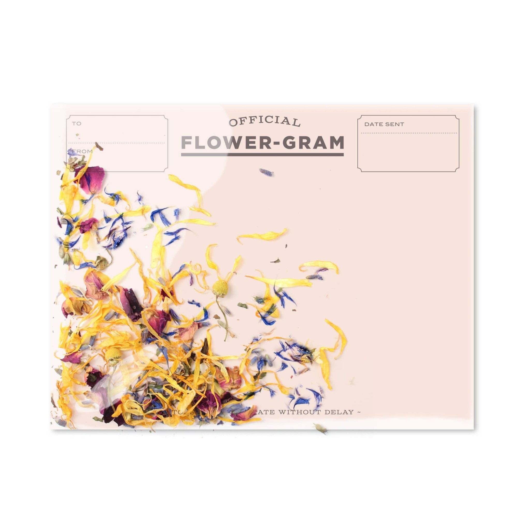 Flowergram - Wildflowers + Mint - Spiral Circle