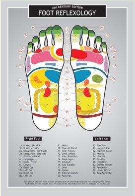 Foot Reflexology Two Sided Color Informational Chart - Spiral Circle