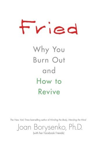 Fried | Why You Burn Out and How to Revive - Spiral Circle