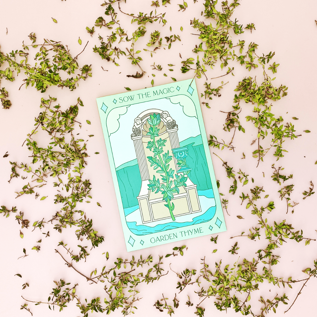 Garden Thyme | Tarot Garden and Gift Seed Packet - Spiral Circle