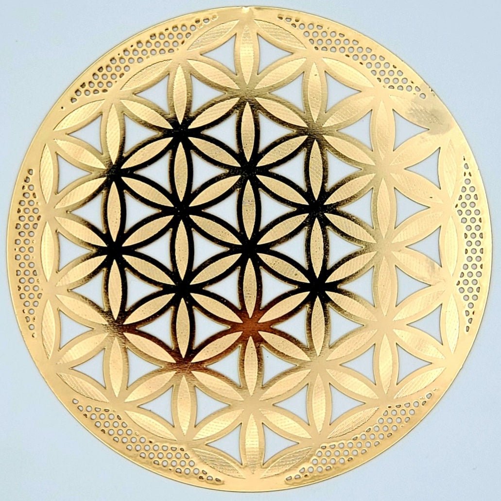 Gold Grids | 18k - Spiral Circle