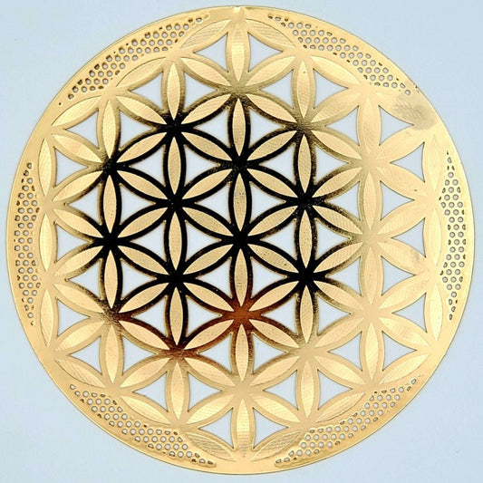 Gold Grids | 18k - Spiral Circle