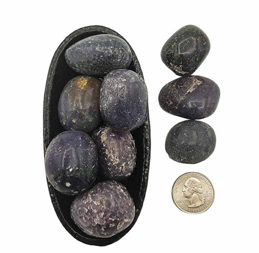 Grape Agate | Tumbled - Spiral Circle