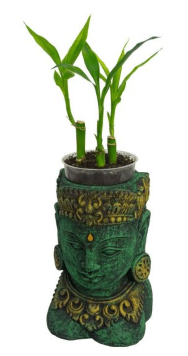Green Tara Flower Pot Statue | Volcanic Stone - Spiral Circle