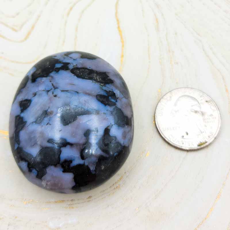 Indigo Gabbro | Palm Stone - Spiral Circle