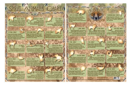 Information Chart English Spirit Animals - Spiral Circle