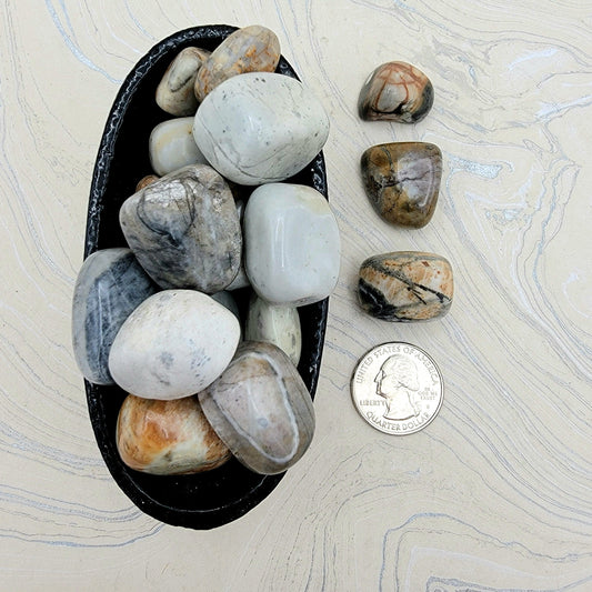 Jasper, Picasso | Joy, Optimism | Tumbled - Spiral Circle