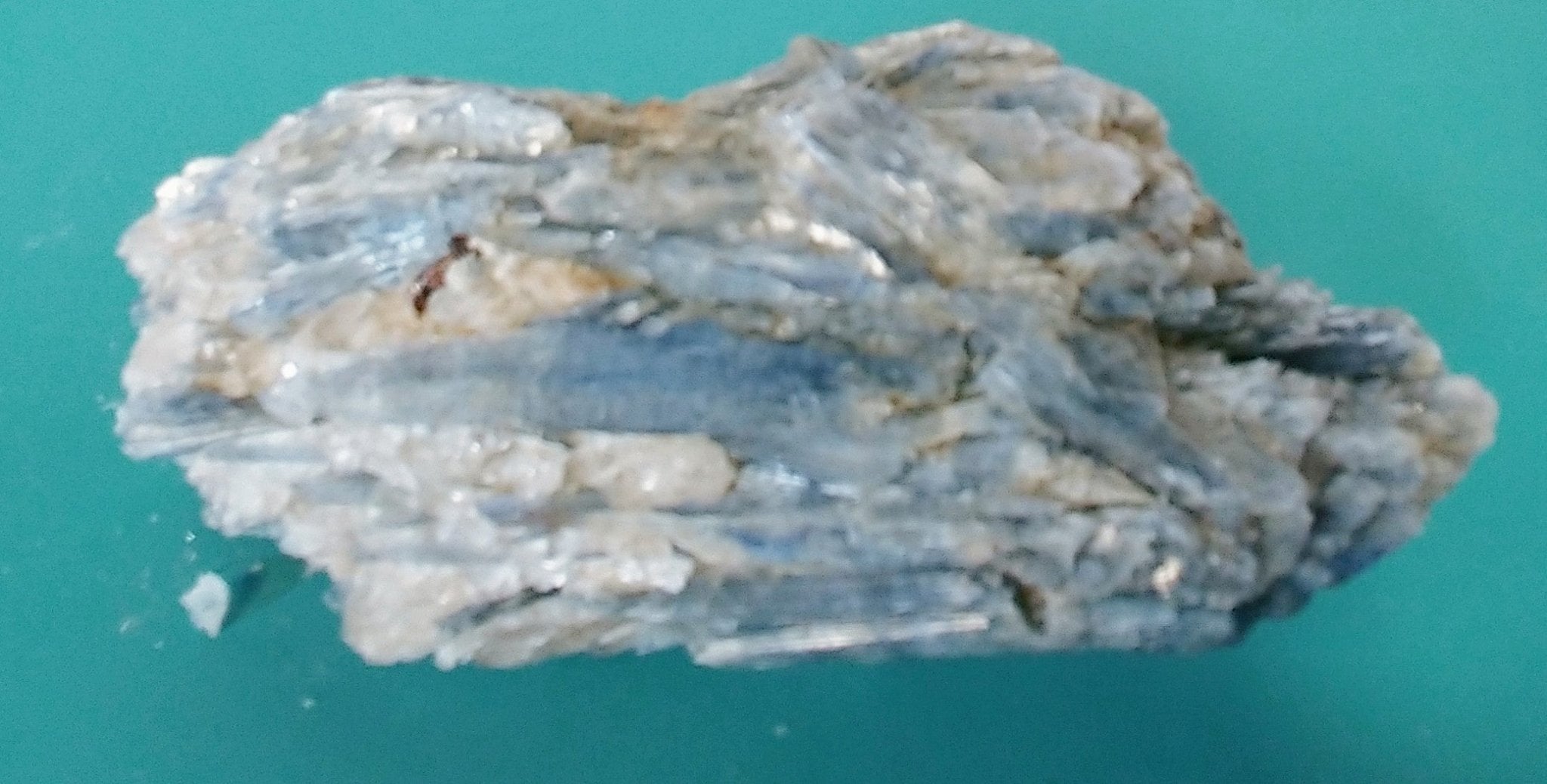 Kyanite, Blue | Statement - Spiral Circle