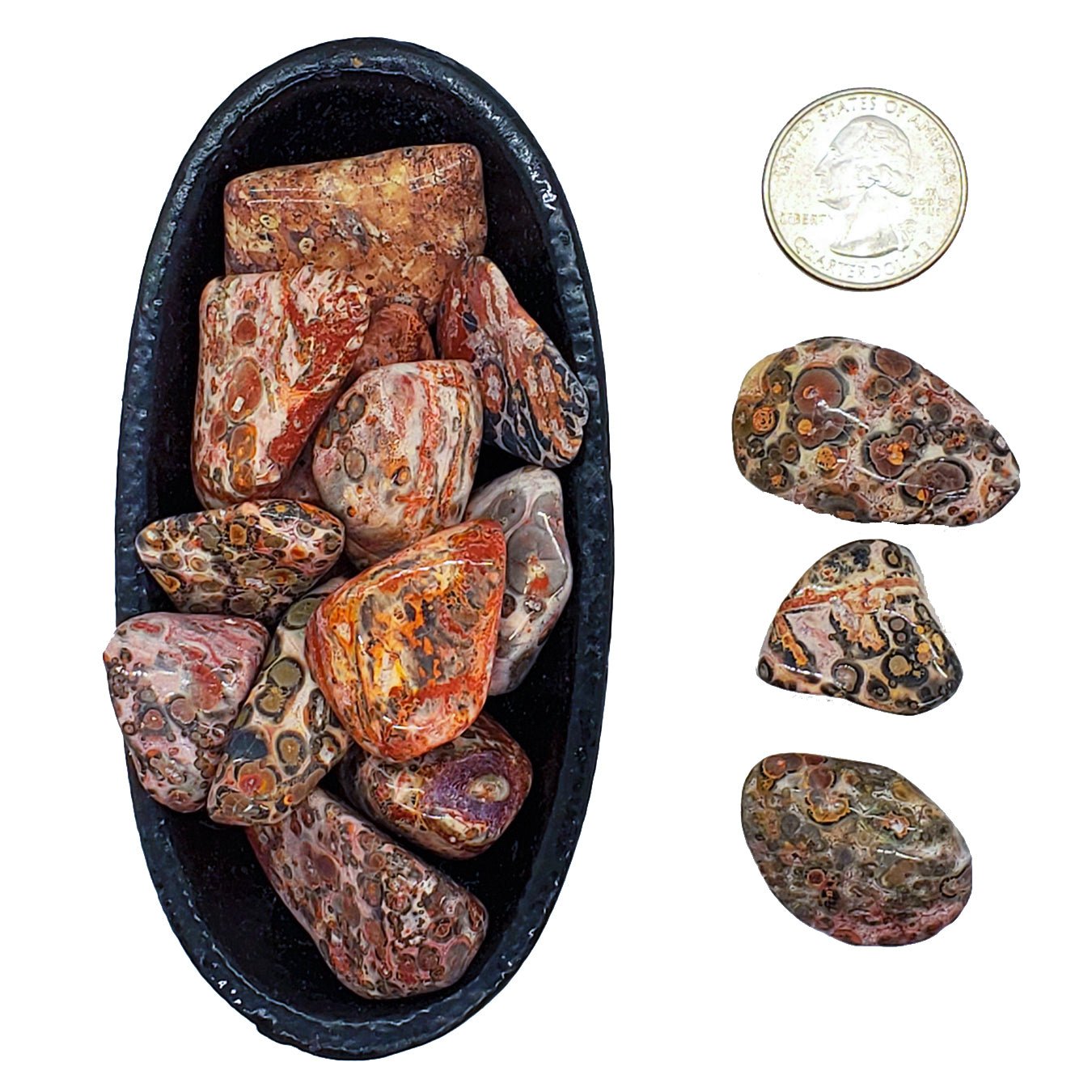 Leopard Skin Jasper | Tumbled | Strength and Vitality - Spiral Circle