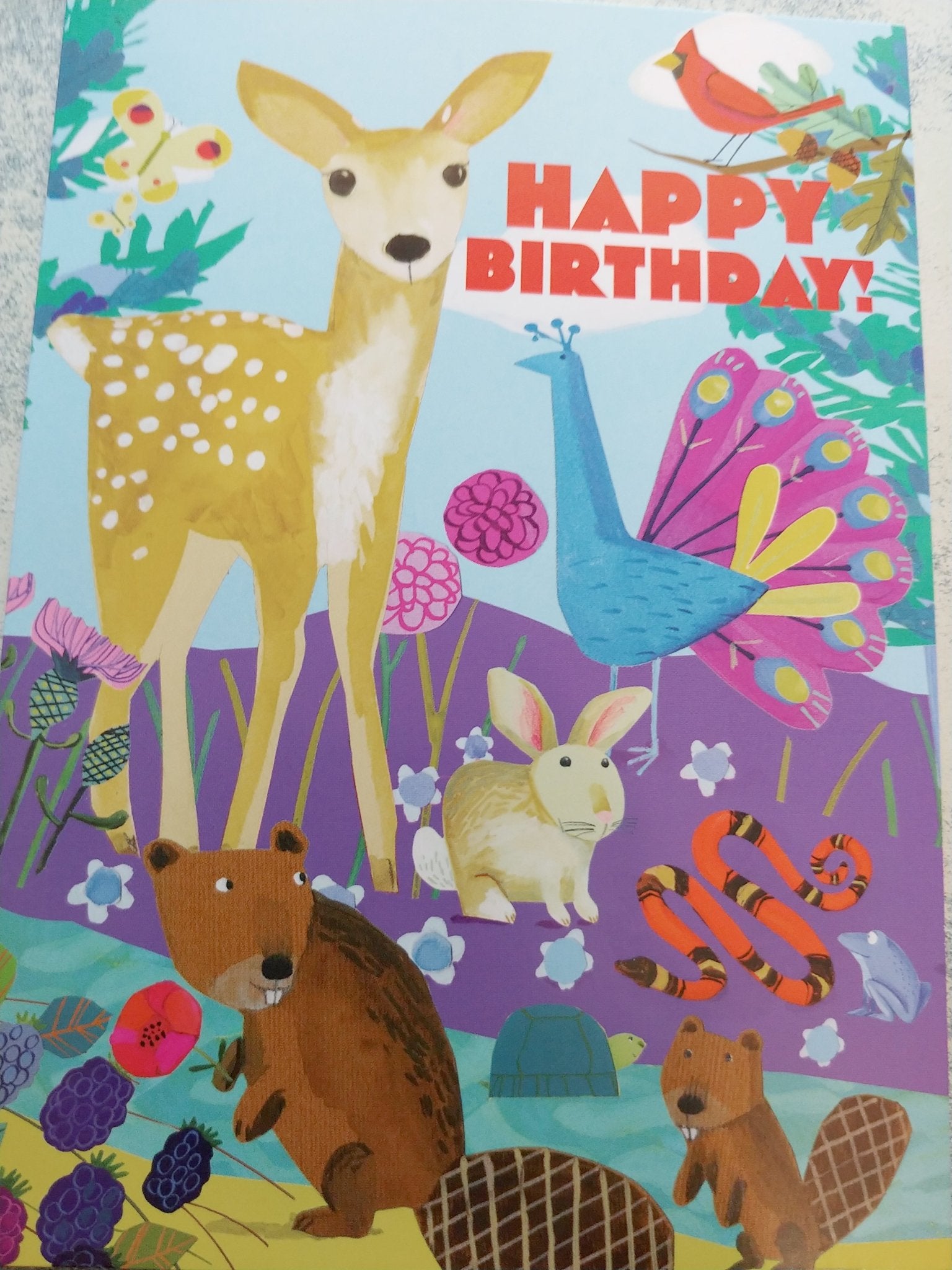 Life on Earth Birthday Card - Spiral Circle