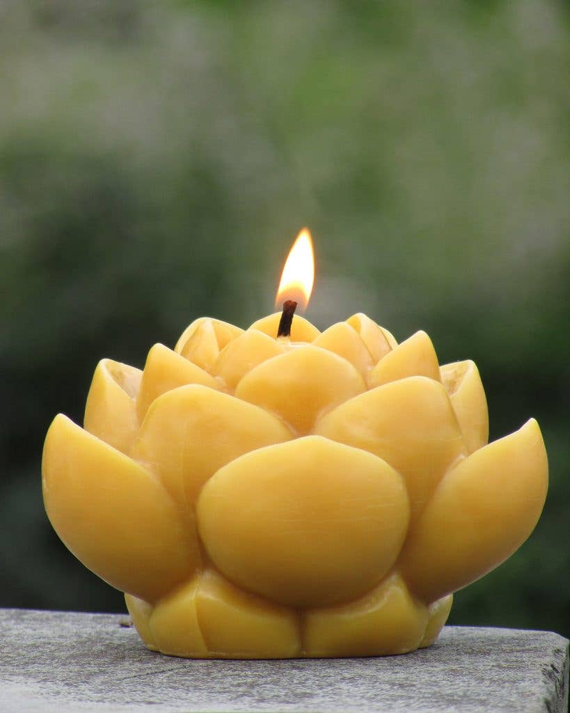 Lotus Flower Candle | Yellow | Beeswax - Spiral Circle