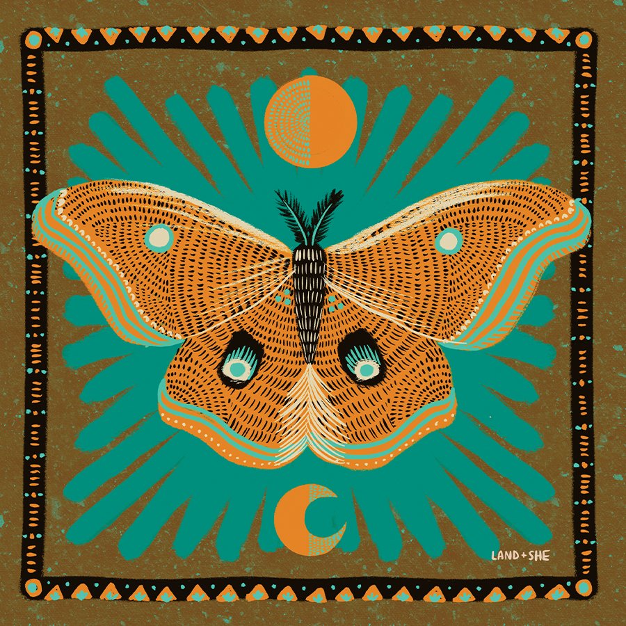 Luna Moth | Art Print - Spiral Circle