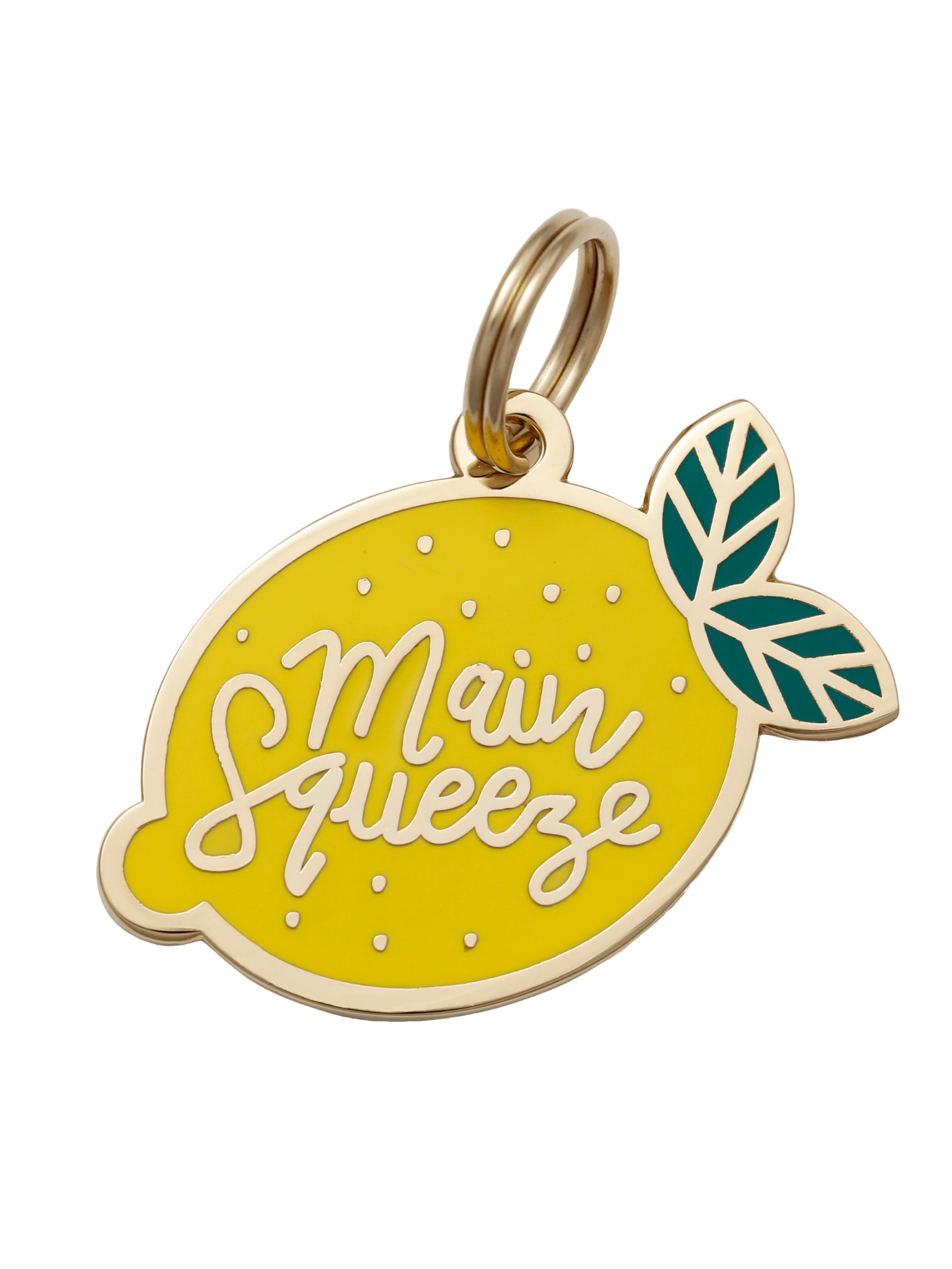 Main Squeeze Pet ID Tag - Spiral Circle