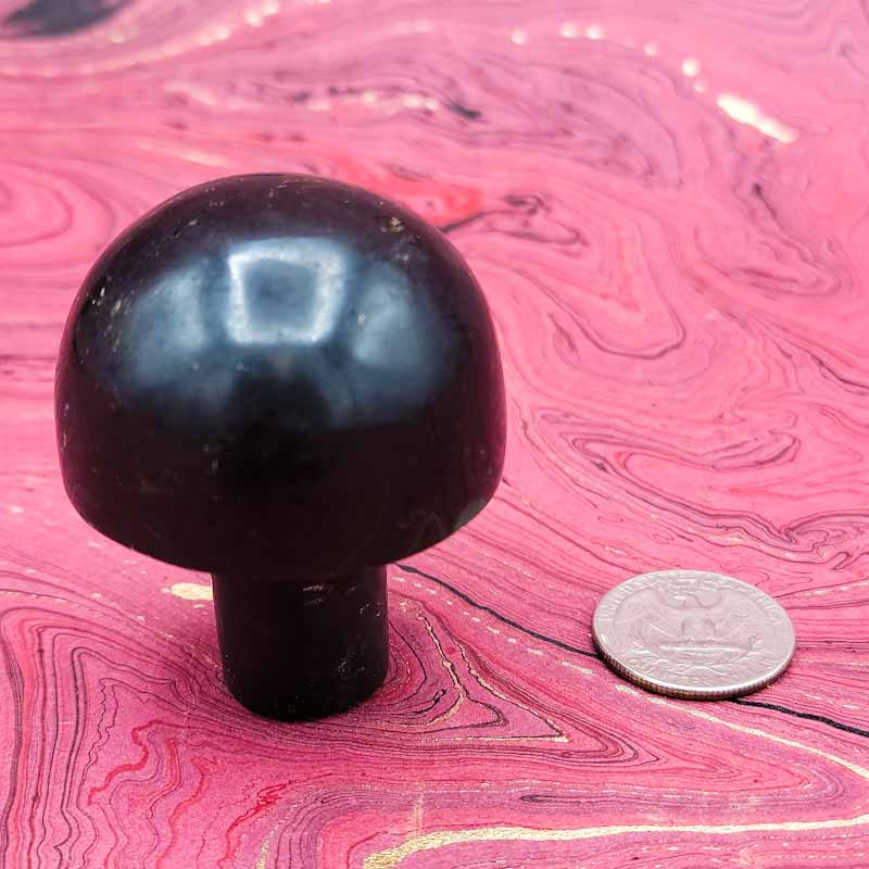 Massager Mushroom | Black Tourmaline - Spiral Circle